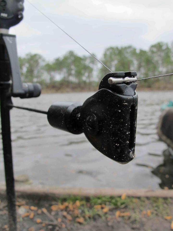 All4carp - 734433176020299212950705822108n.jpg